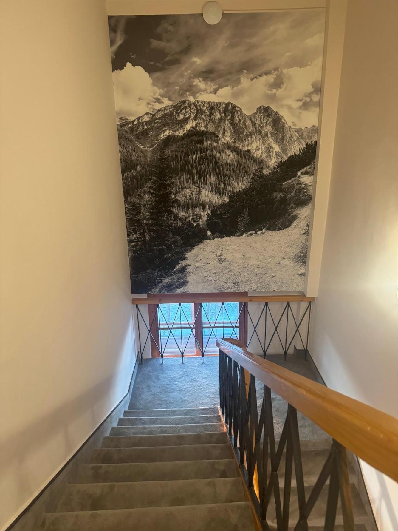 Willa Alta Bukowina Tatrzańska Exterior foto